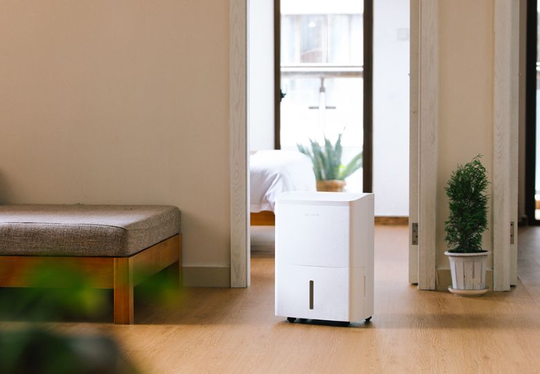 Sử dụng máy hút ẩm để chấm mốc tường