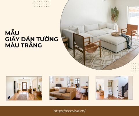 Mẫu giấy dán tường màu trắng