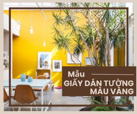 Mẫu giấy dán tường màu vàng