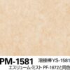 Sàn Vinyl Sangetsu vân đá gân sần PM-1581