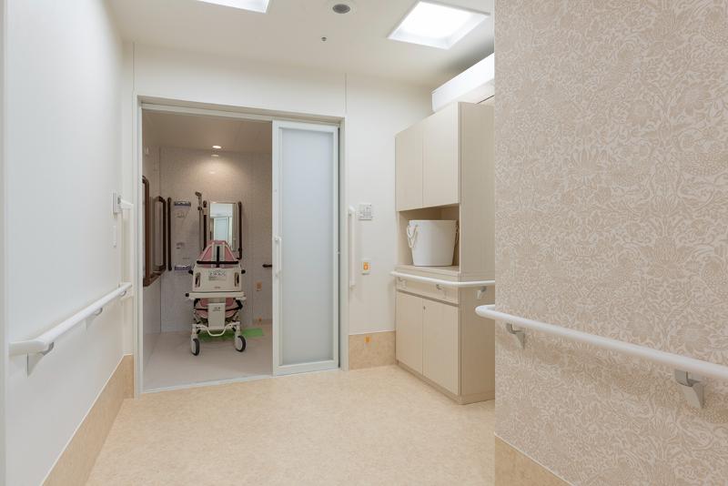 giấy dán tường Lily Color cho khách sạn đẹp