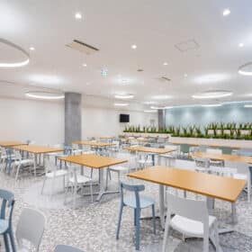 giấy dán tường Lily Color cho quán cafe
