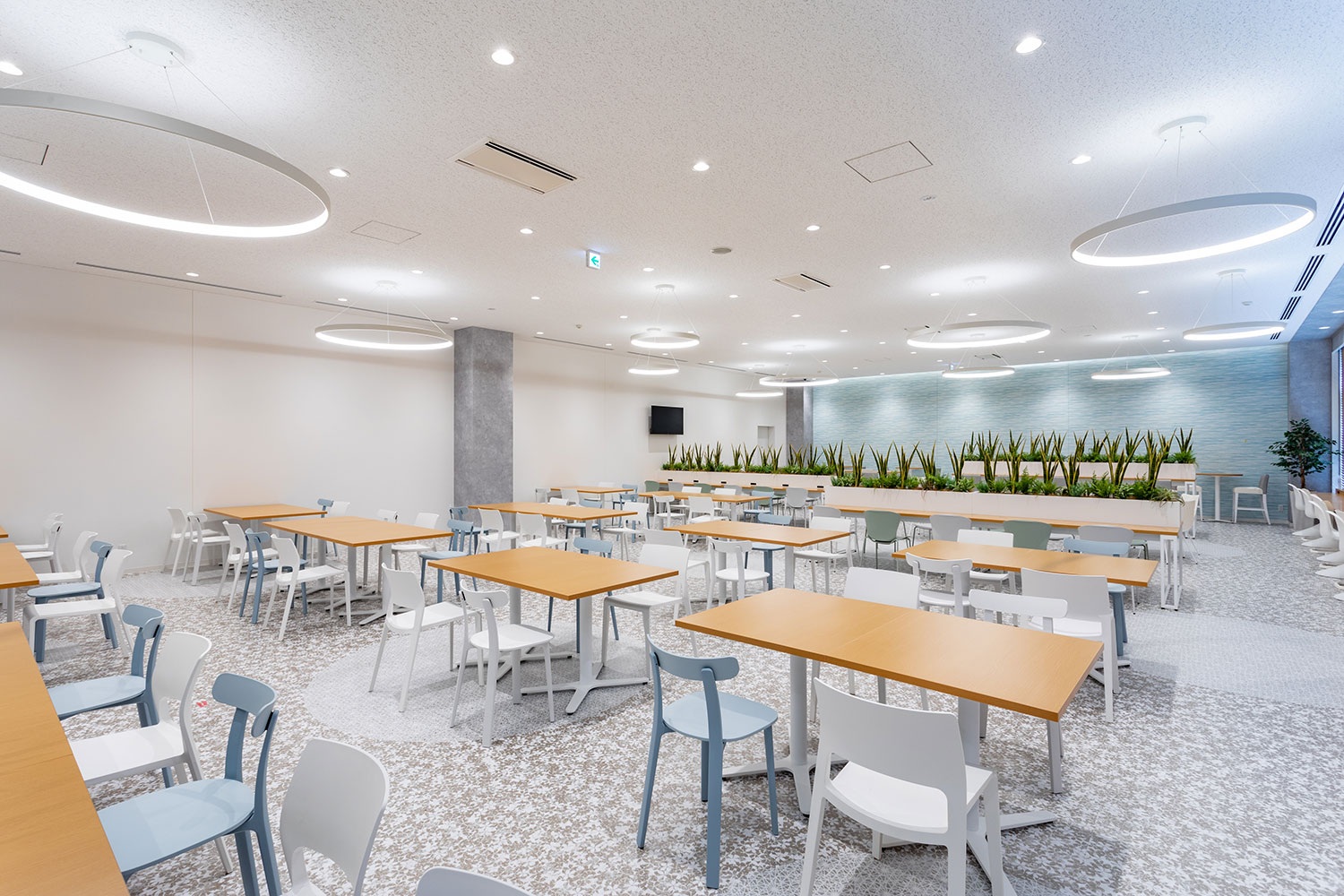 giấy dán tường Lily Color cho quán cafe 