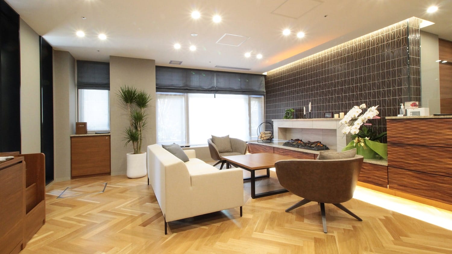 giấy dán tường Lily Color cho viện dưỡng lão