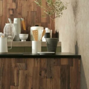 Giấy dán tường Sangetsu Fine – FE74171 - Giả bê tông màu nâu