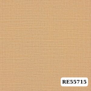 Giấy dán tường Sangetsu Reserves – RE55715|Màu nâu nhạt, vân mây