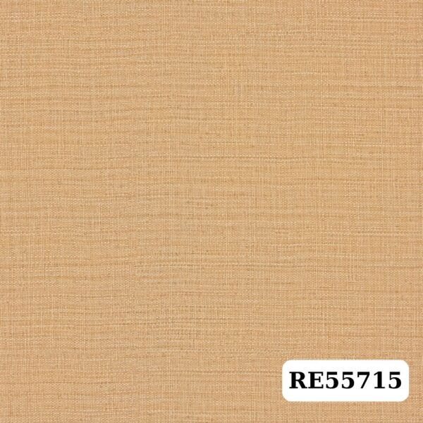 Giấy dán tường Sangetsu Reserves – RE55715|Màu nâu nhạt, vân mây