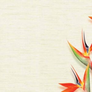 Giấy dán tường Vinyl đế vải - WVA5009 - Màu trắng ngà