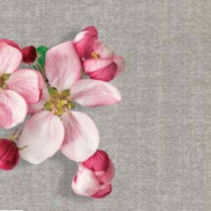 Giấy dán tường Vinyl đế vải - WVA5031 - Màu xám lông chuột