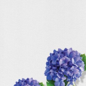 Giấy dán tường Vinyl đế vải - WVA5035 - Màu trắng