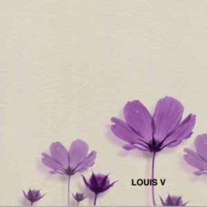 Giấy dán tường Vinyl đế vải - WVA5041 - Màu be