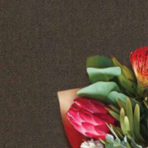 Giấy dán tường Vinyl đế vải - WVA5044 - Màu nâu