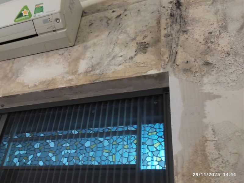 tường ẩm có dán giấy dán tường được không