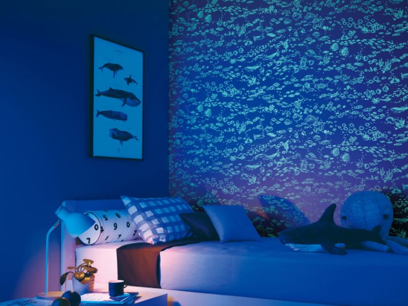 Đại dương lấp lánh với những đàn cá tung tăng