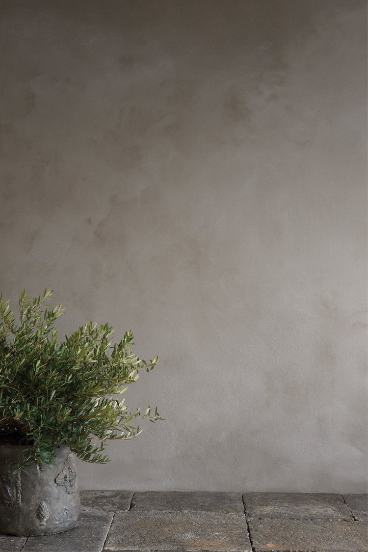 Giấy dán tường studio